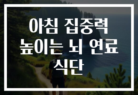 아침 집중력 높이는 뇌 연료 식단