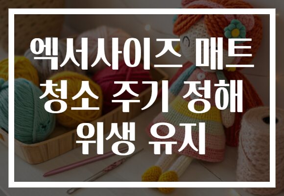 엑서사이즈 매트 청소 주기 정해 위생 유지