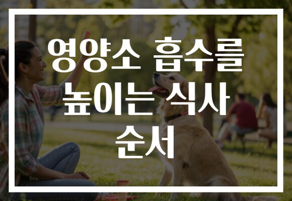 영양소 흡수를 높이는 식사 순서 영양소 흡수를 높이는 식사 순서