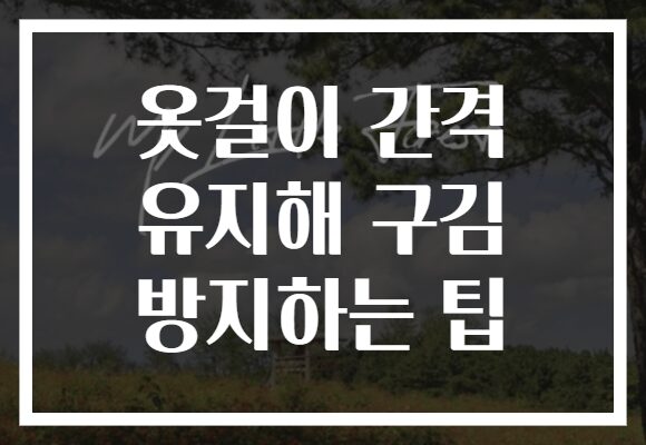 옷걸이 간격 유지해 구김 방지하는 팁