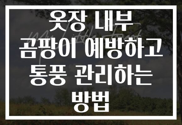 옷장 내부 곰팡이 예방하고 통풍 관리하는 방법 옷장 내부 곰팡이 예방하고 통풍 관리하는 방법