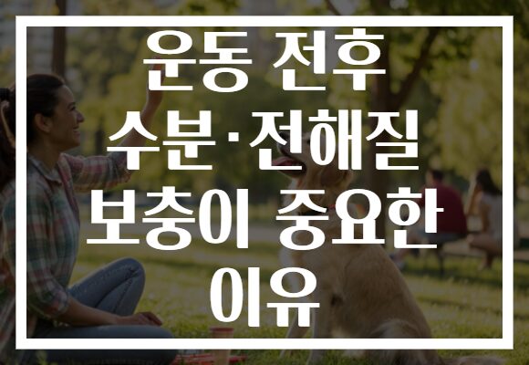 운동 전후 수분·전해질 보충이 중요한 이유