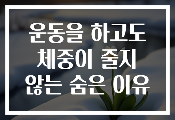 운동을 하고도 체중이 줄지 않는 숨은 이유