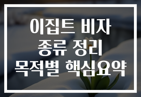 이집트 비자 종류 정리 목적별 핵심요약 이집트 비자 종류 정리 목적별 핵심요약