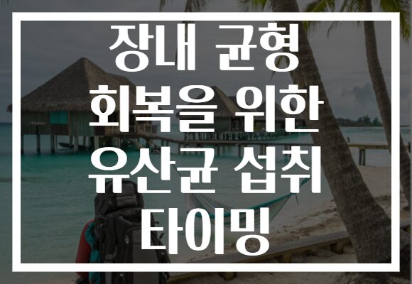 장내 균형 회복을 위한 유산균 섭취 타이밍 장내 균형 회복을 위한 유산균 섭취 타이밍