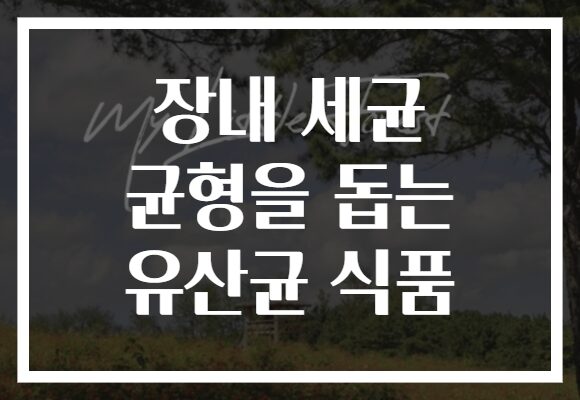 장내 세균 균형을 돕는 유산균 식품