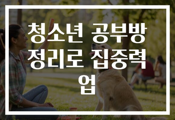 청소년 공부방 정리로 집중력 업
