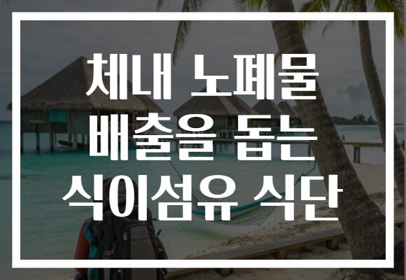 체내 노폐물 배출을 돕는 식이섬유 식단 체내 노폐물 배출을 돕는 식이섬유 식단