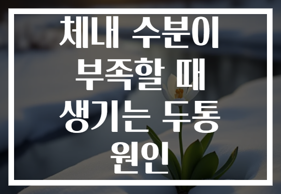 체내 수분이 부족할 때 생기는 두통 원인 체내 수분이 부족할 때 생기는 두통 원인