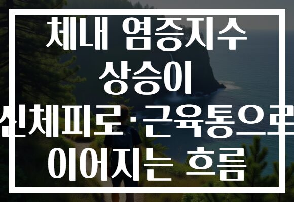 체내 염증지수 상승이 신체피로·근육통으로 이어지는 흐름