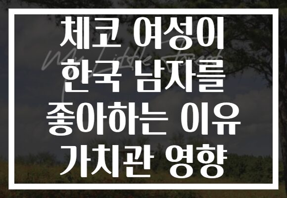 체코 여성이 한국 남자를 좋아하는 이유 가치관 영향 체코 여성이 한국 남자를 좋아하는 이유 가치관 영향