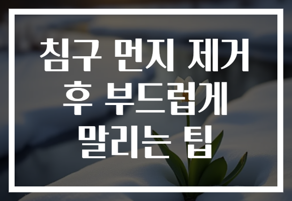 침구 먼지 제거 후 부드럽게 말리는 팁 침구 먼지 제거 후 부드럽게 말리는 팁