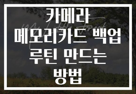 카메라 메모리카드 백업 루틴 만드는 방법