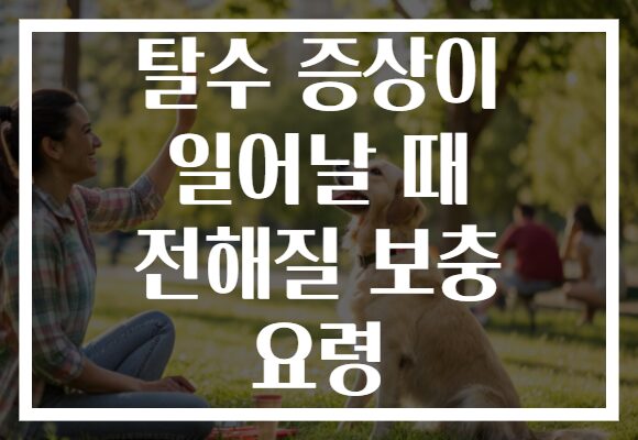 탈수 증상이 일어날 때 전해질 보충 요령