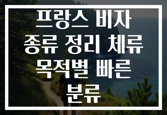 프랑스 비자 종류 정리 체류 목적별 빠른 분류 프랑스 비자 종류 정리 체류 목적별 빠른 분류