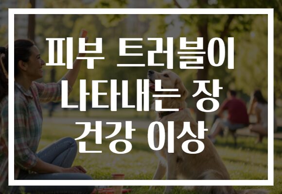 피부 트러블이 나타내는 장 건강 이상