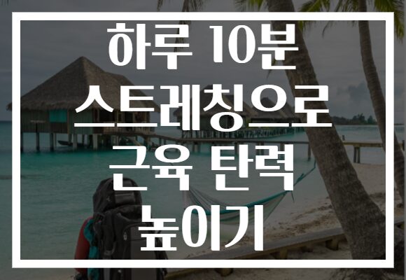 하루 10분 스트레칭으로 근육 탄력 높이기 하루 10분 스트레칭으로 근육 탄력 높이기