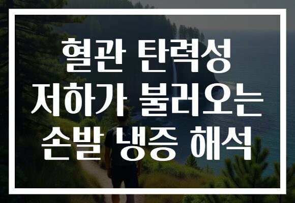 혈관 탄력성 저하가 불러오는 손발 냉증 해석