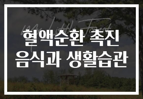 혈액순환 촉진 음식과 생활습관