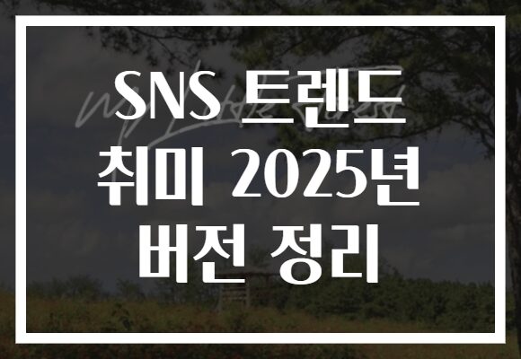 SNS 트렌드 취미 2025년 버전 정리