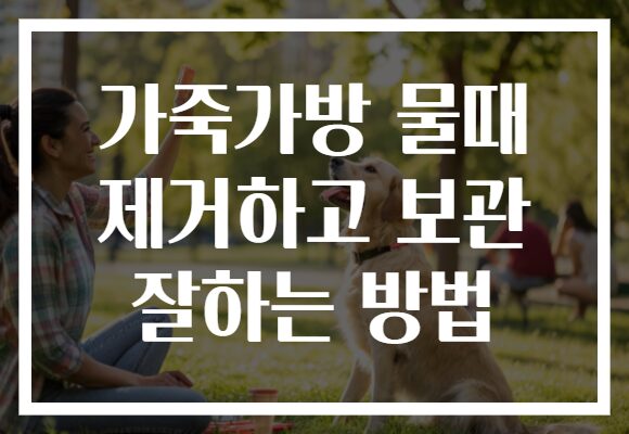 가죽가방 물때 제거하고 보관 잘하는 방법 가죽가방 물때 제거하고 보관 잘하는 방법