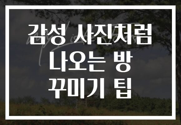 감성 사진처럼 나오는 방 꾸미기 팁