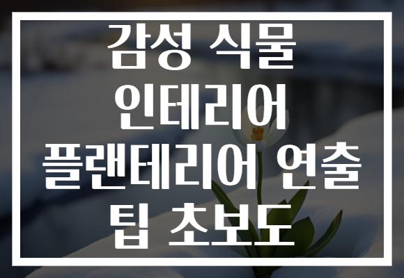 감성 식물 인테리어 플랜테리어 연출 팁 초보도 감성 식물 인테리어 플랜테리어 연출 팁 초보도