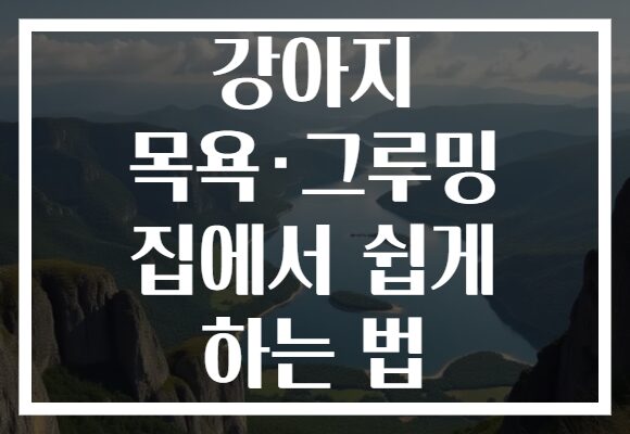 강아지 목욕·그루밍 집에서 쉽게 하는 법