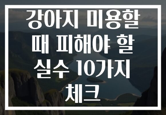 강아지 미용할 때 피해야 할 실수 10가지 체크