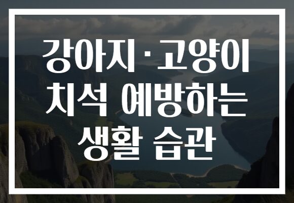 강아지·고양이 치석 예방하는 생활 습관