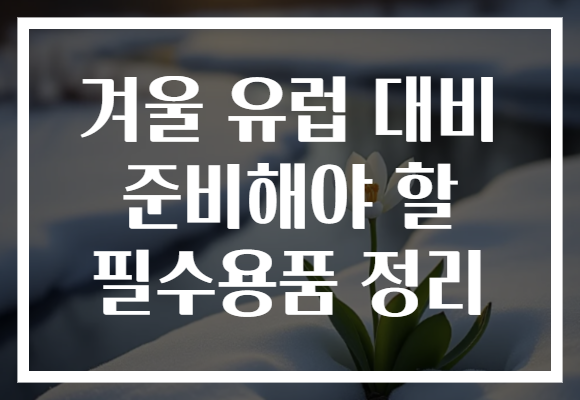 겨울 유럽 대비 준비해야 할 필수용품 정리