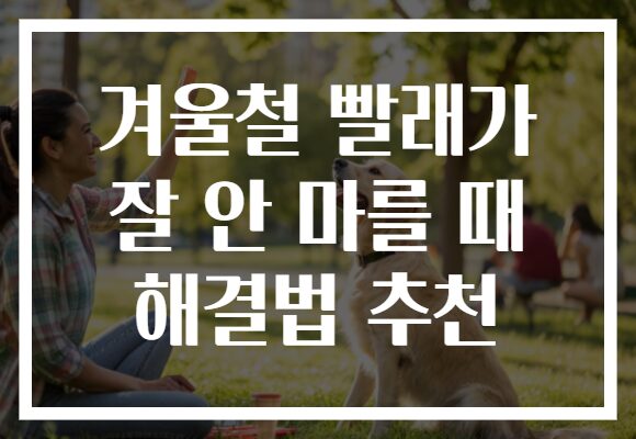 겨울철 빨래가 잘 안 마를 때 해결법 추천