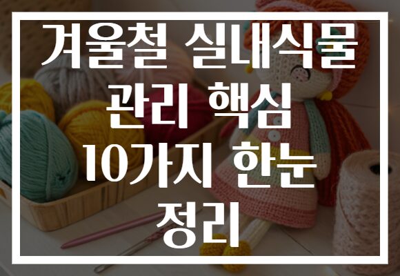 겨울철 실내식물 관리 핵심 10가지 한눈 정리 겨울철 실내식물 관리 핵심 10가지 한눈 정리