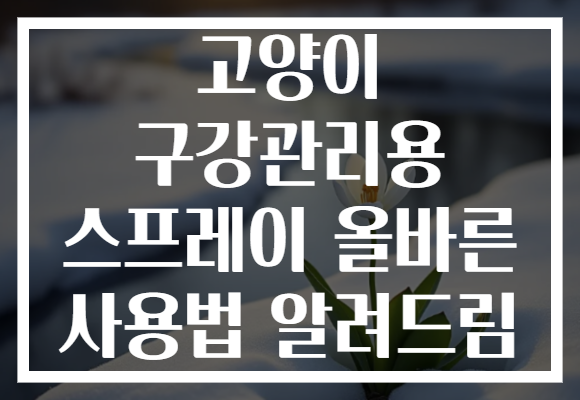 고양이 구강관리용 스프레이 올바른 사용법 알려드림