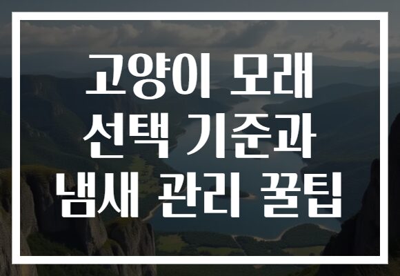 고양이 모래 선택 기준과 냄새 관리 꿀팁 고양이 모래 선택 기준과 냄새 관리 꿀팁