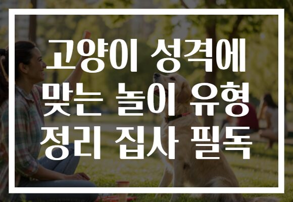 고양이 성격에 맞는 놀이 유형 정리 집사 필독