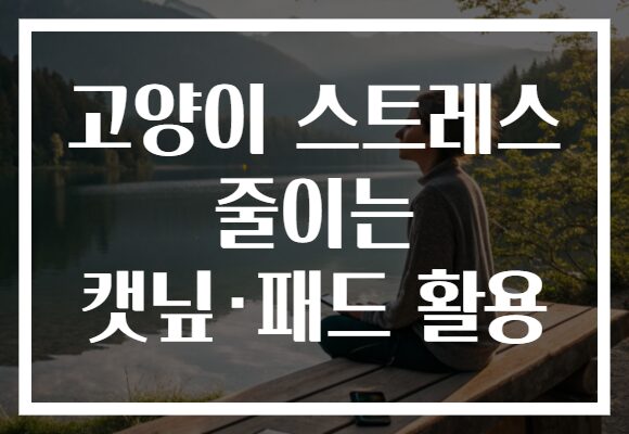 고양이 스트레스 줄이는 캣닢·패드 활용