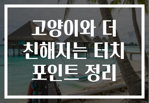 고양이와 더 친해지는 터치 포인트 정리 고양이와 더 친해지는 터치 포인트 정리