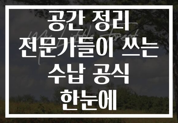 공간 정리 전문가들이 쓰는 수납 공식 한눈에 공간 정리 전문가들이 쓰는 수납 공식 한눈에