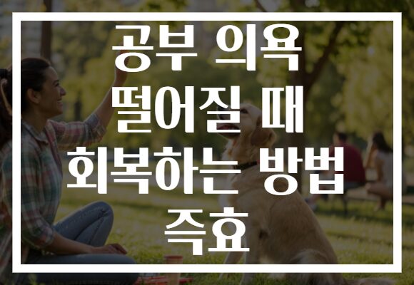 공부 의욕 떨어질 때 회복하는 방법 즉효 공부 의욕 떨어질 때 회복하는 방법 즉효