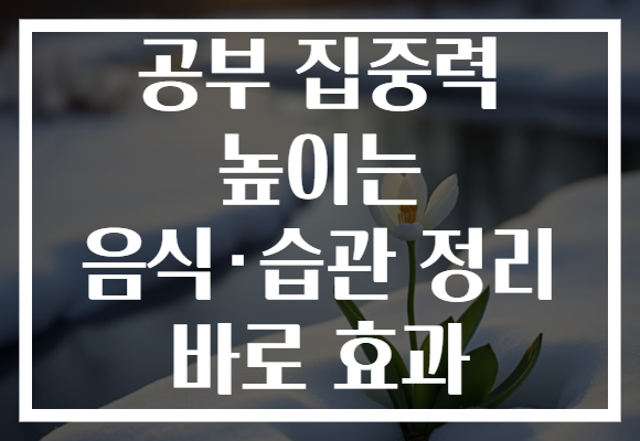 공부 집중력 높이는 음식·습관 정리 바로 효과