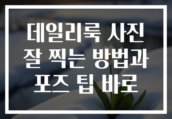 데일리룩 사진 잘 찍는 방법과 포즈 팁 바로