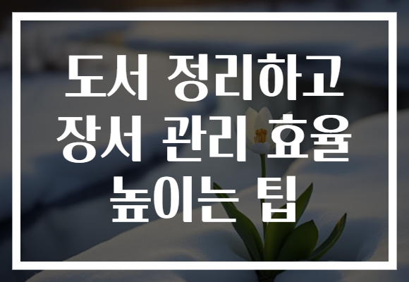 도서 정리하고 장서 관리 효율 높이는 팁