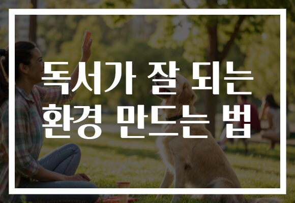 독서가 잘 되는 환경 만드는 법 독서가 잘 되는 환경 만드는 법