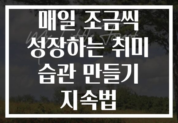 매일 조금씩 성장하는 취미 습관 만들기 지속법