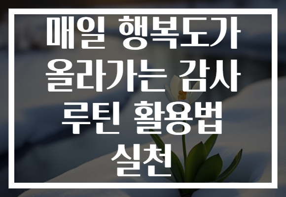 매일 행복도가 올라가는 감사 루틴 활용법 실천