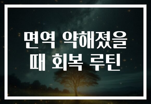 면역 약해졌을 때 회복 루틴