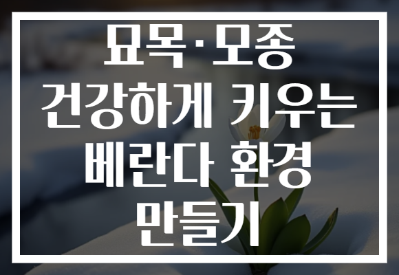 묘목·모종 건강하게 키우는 베란다 환경 만들기 묘목·모종 건강하게 키우는 베란다 환경 만들기