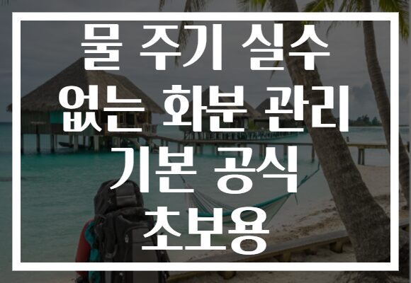물 주기 실수 없는 화분 관리 기본 공식 초보용 물 주기 실수 없는 화분 관리 기본 공식 초보용