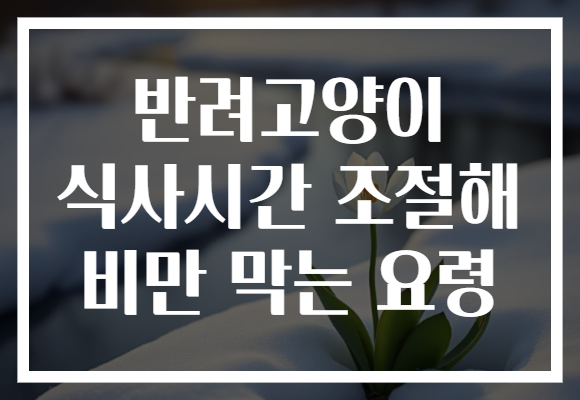 반려고양이 식사시간 조절해 비만 막는 요령